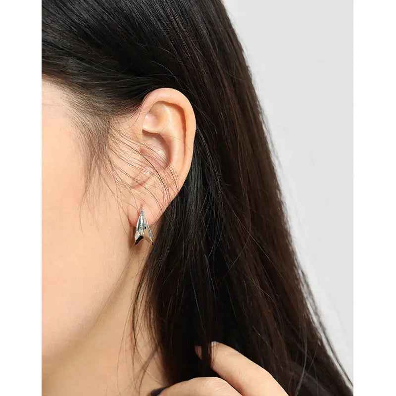 Concave-Convex Surface Silver Hoop Earrings