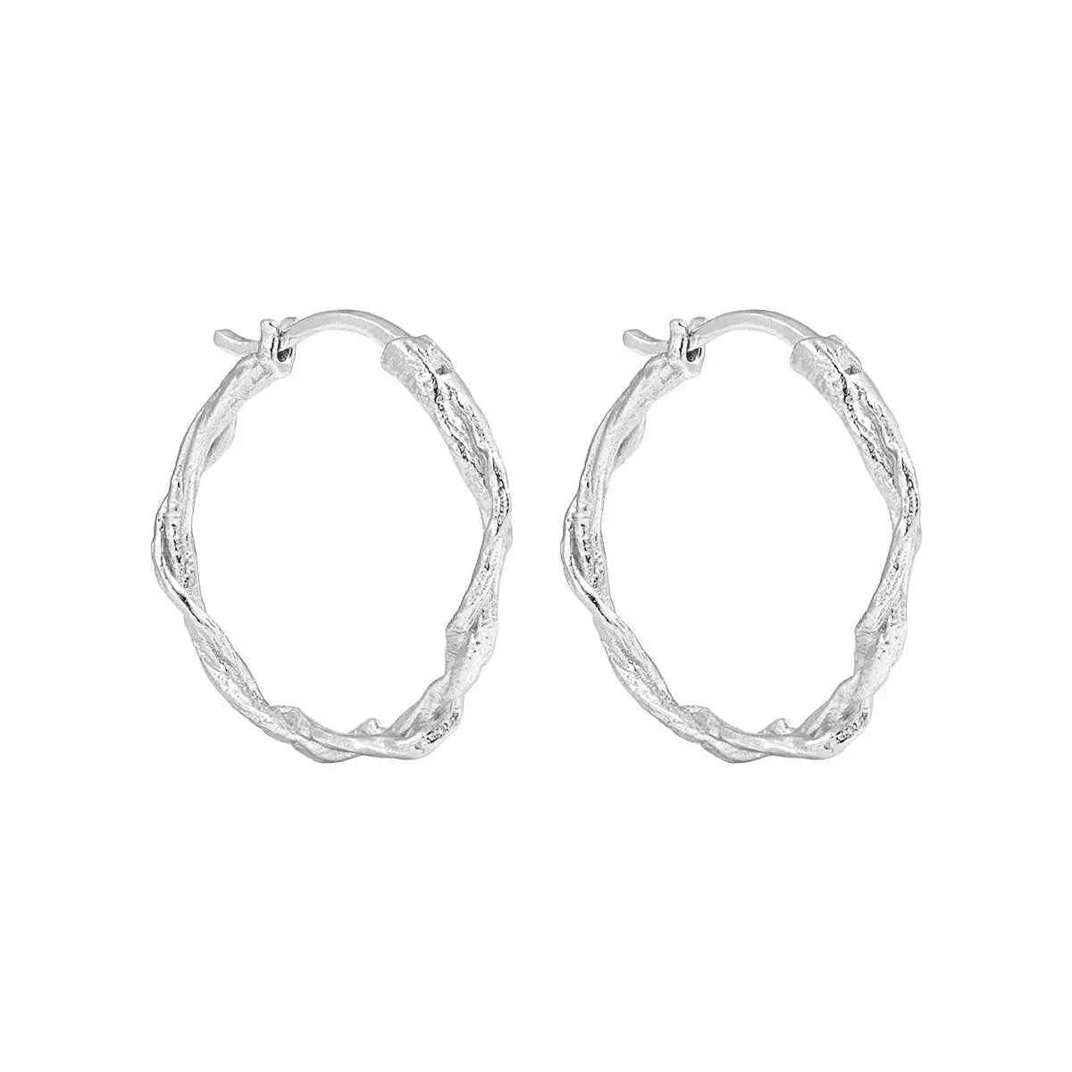 Cold Wind Geometric Silver Hoop Earrings