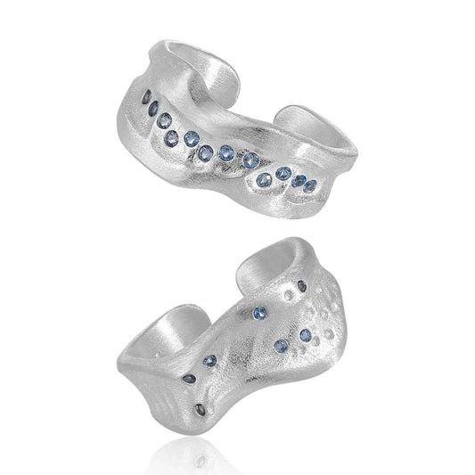 Celestia's Brushed Silver Statement Ring