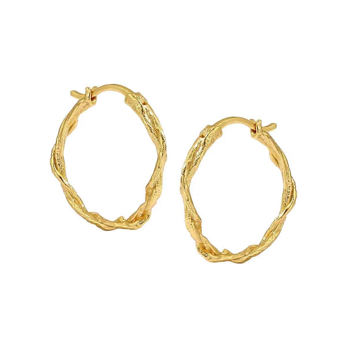 Cold Wind Geometric Silver Hoop Earrings