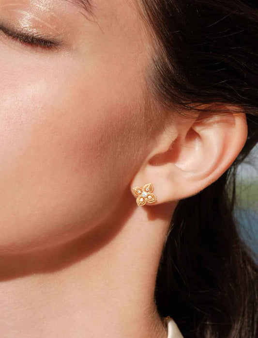 Lost Spring Valley Silver Clover Earrings